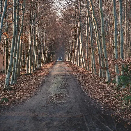 Tiny Au Coeur De La Campagne Wallonne Chaumont-Gistoux